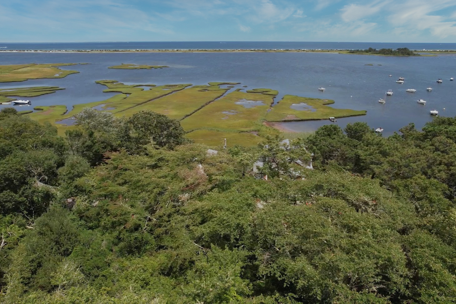 49 The Boulevard Edgartown, MA 02539 - Photo 2 of 49 Gallery Image 2