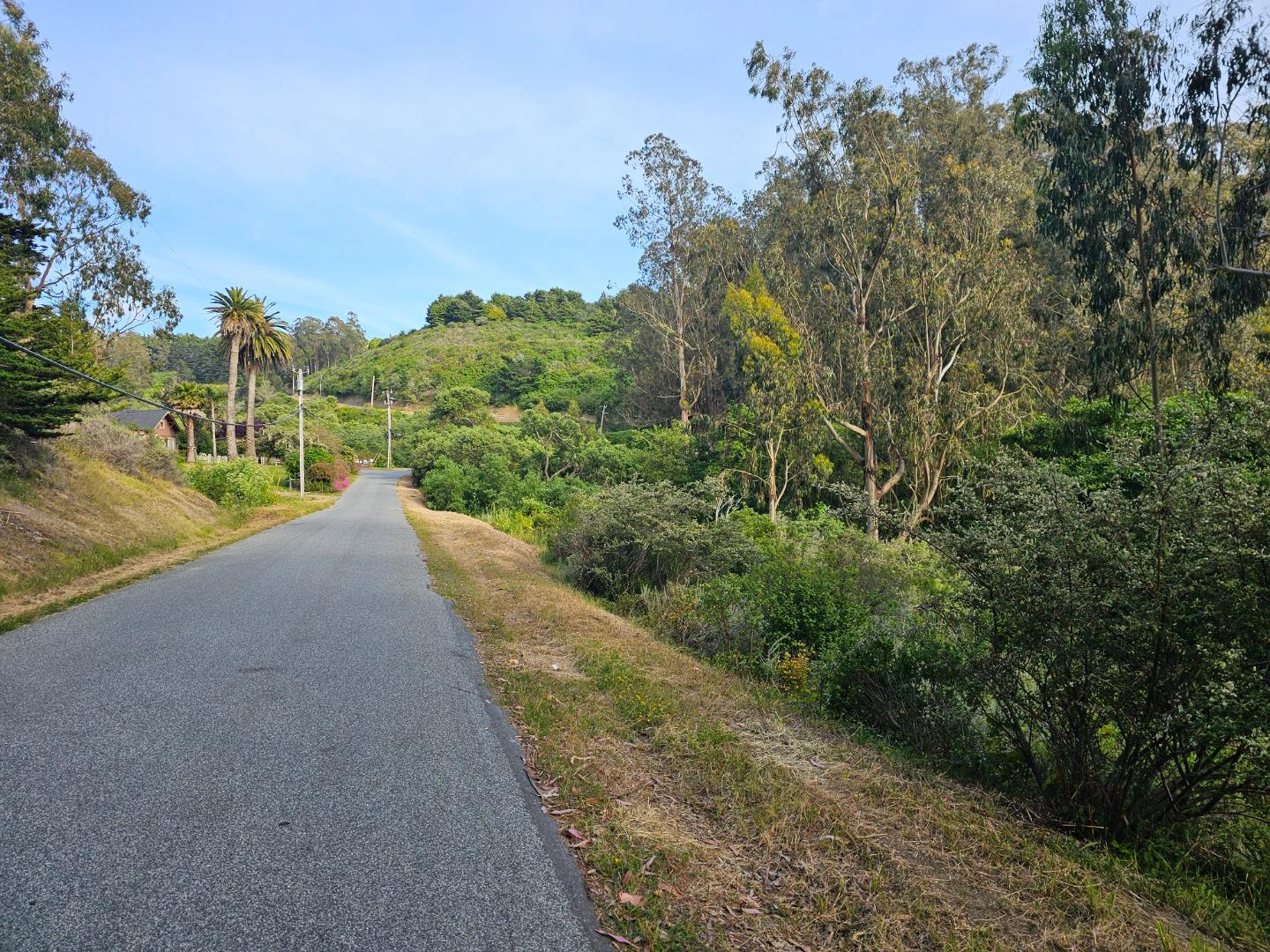Verde Road Half Moon Bay, CA 94019 - Photo 4 of 6 a view of a road with a yard and large trees