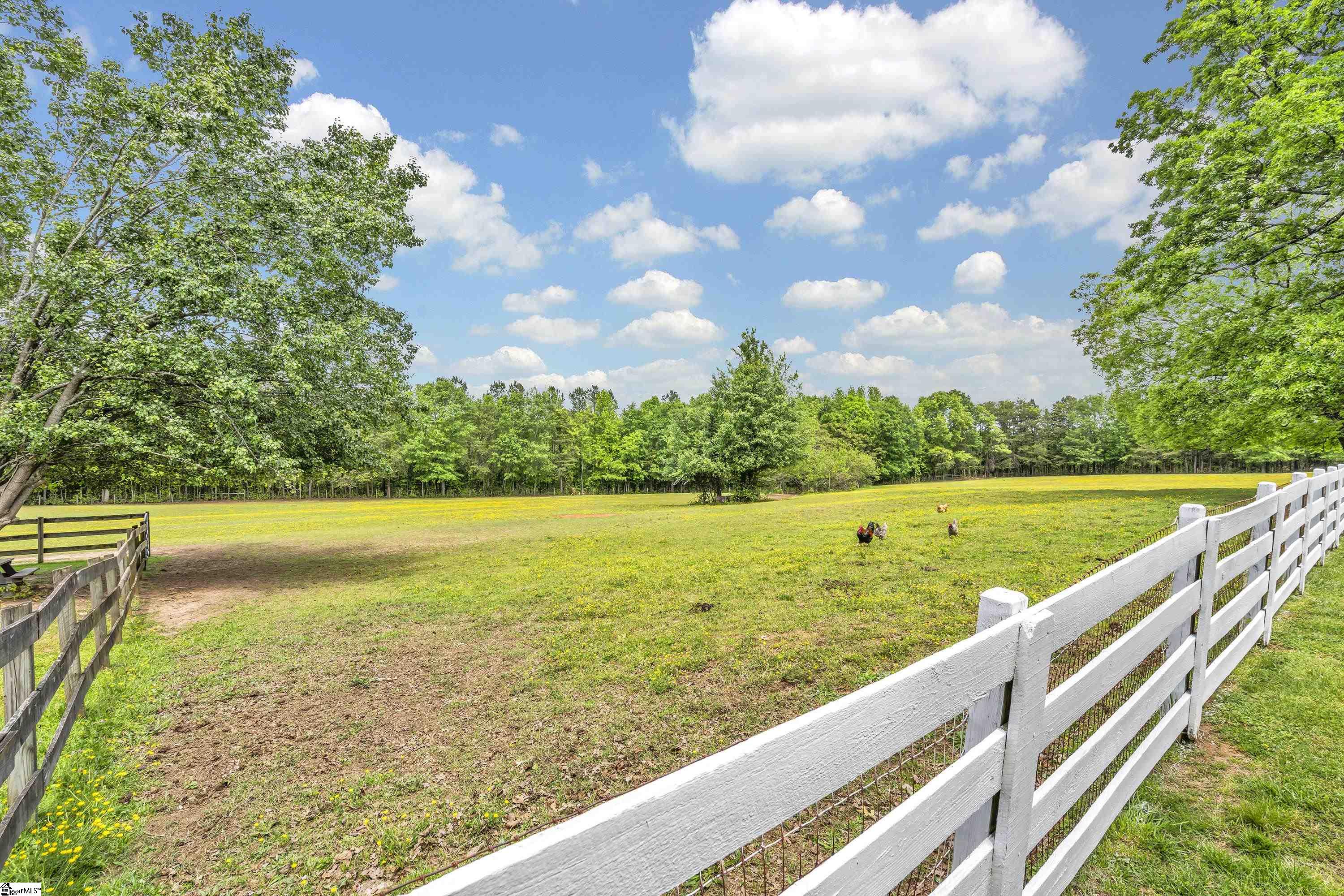 611 Little Texas Road Travelers Rest, SC 29690 - Photo 29 of 35 Gallery Image 29