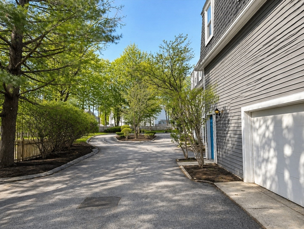 19 Prospect Street, Unit 19 Newton, MA 02465 - Photo 16 of 18