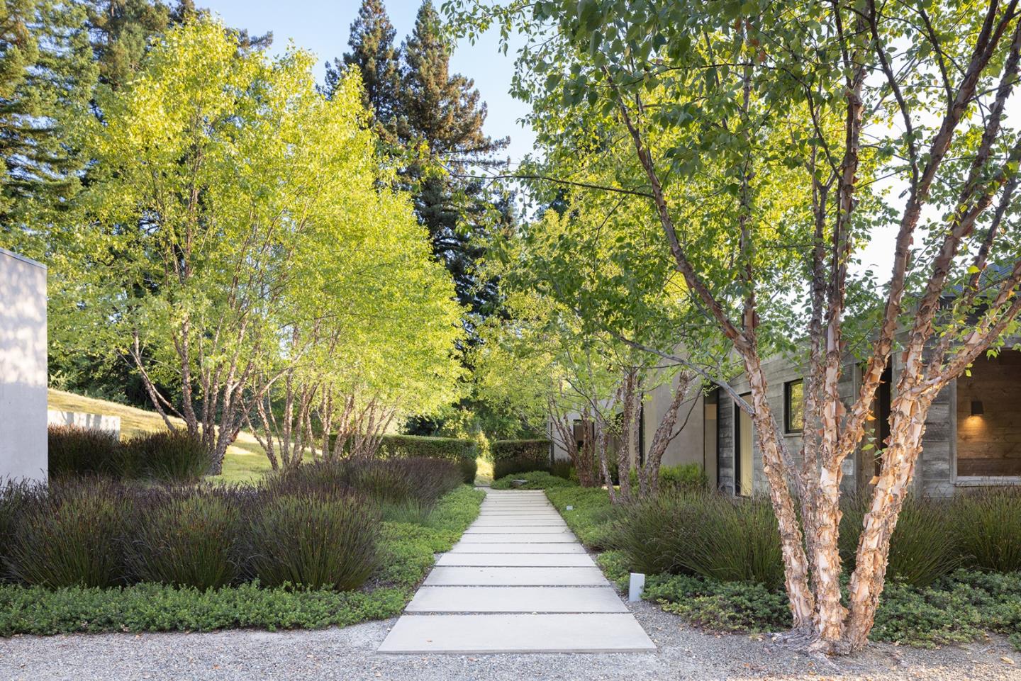 19 Rancho San Carlos Road Carmel, CA 93923 - Photo 27 of 30 a park view with large trees