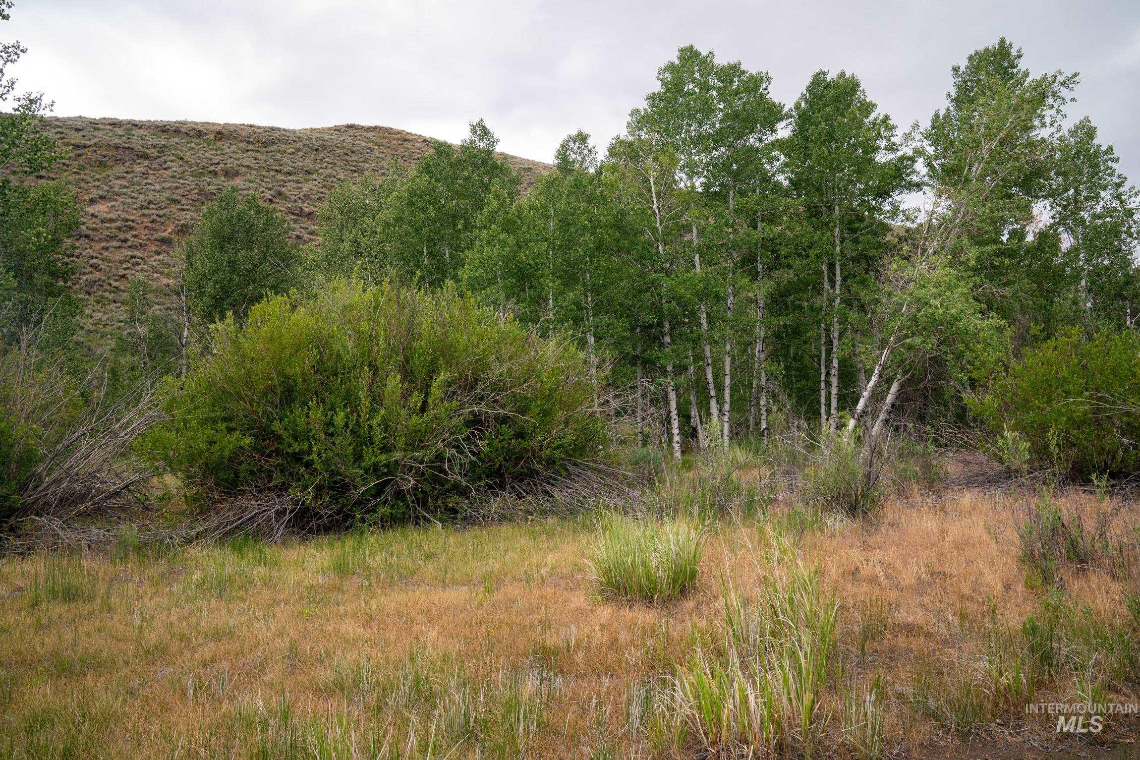135 Bullion Gulch Road Hailey, ID 83333 - Photo 18 of 23