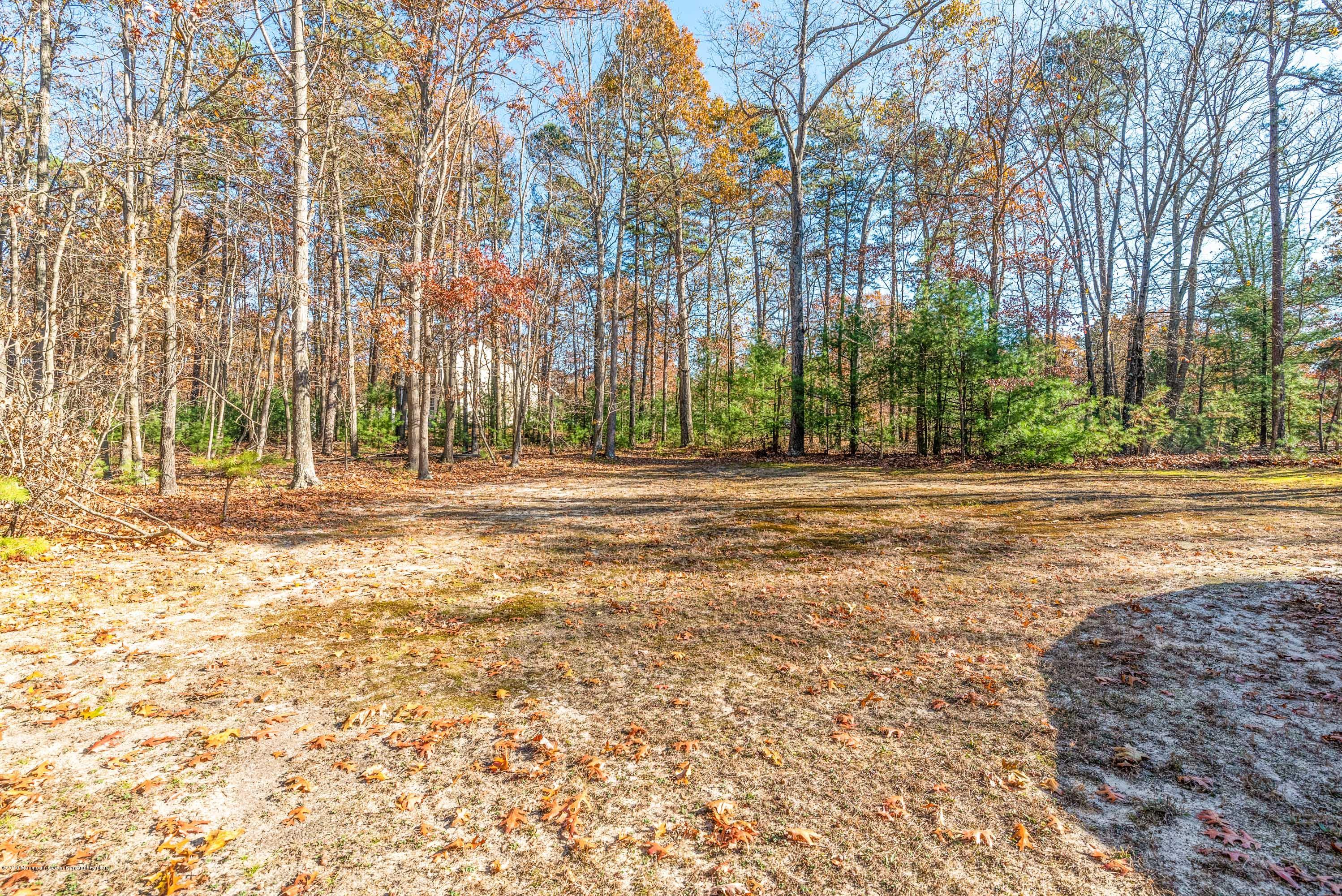 145 Toms River Road Jackson, NJ 08527 - Photo 7 of 25 Yard