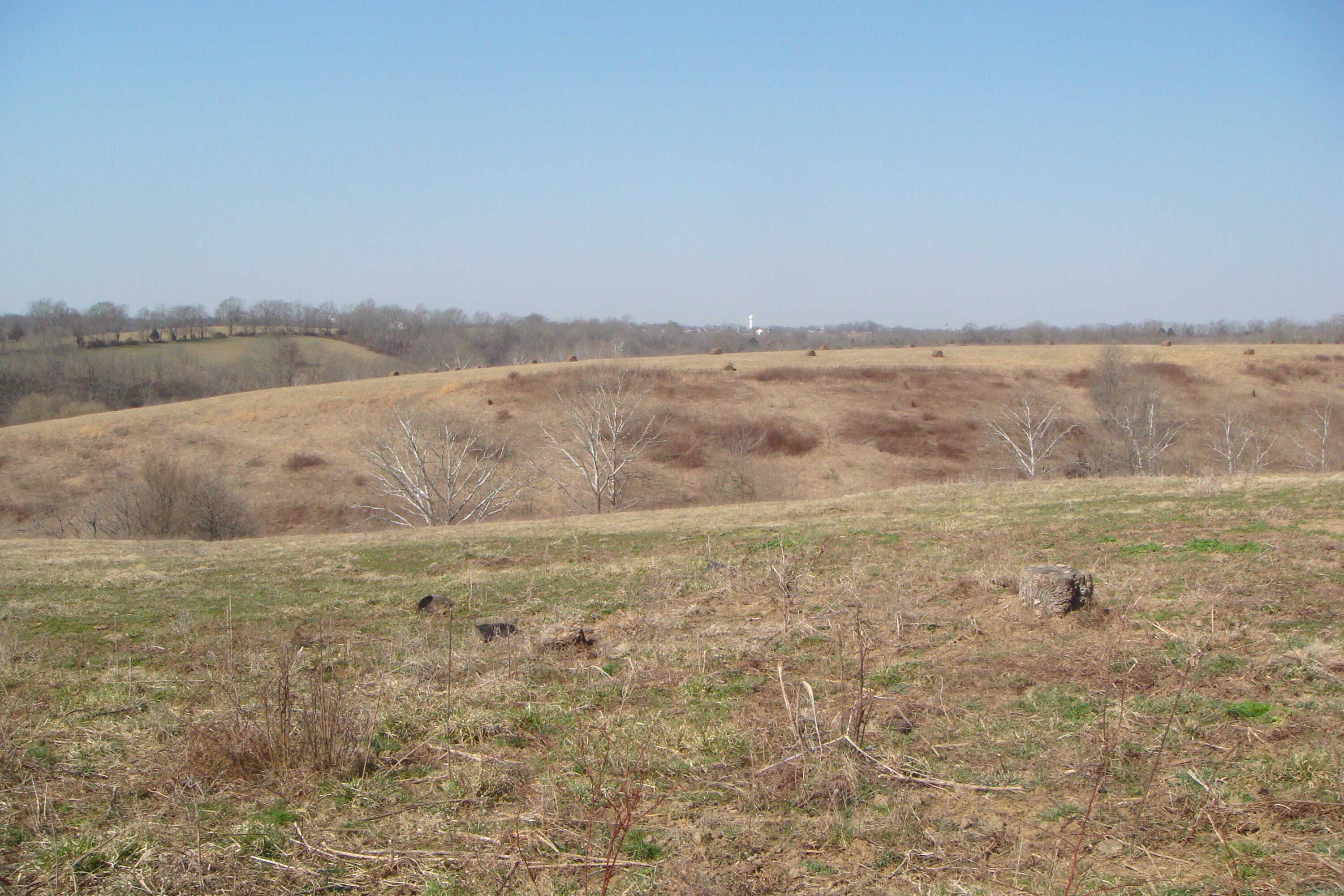 4037 Howards Mill Road Mount Sterling, KY 40353 - Photo 2 of 26 DSC07572
