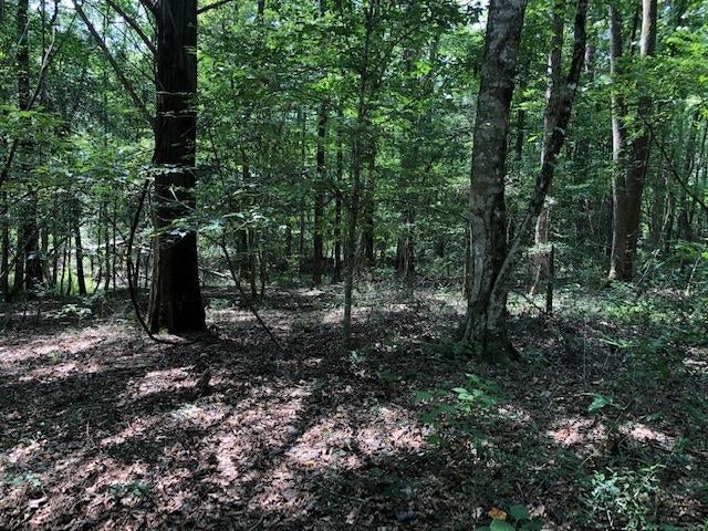 27410 Ealum Mill Road Red Level, AL 36474 - Photo 27 of 50 Gallery Image 27