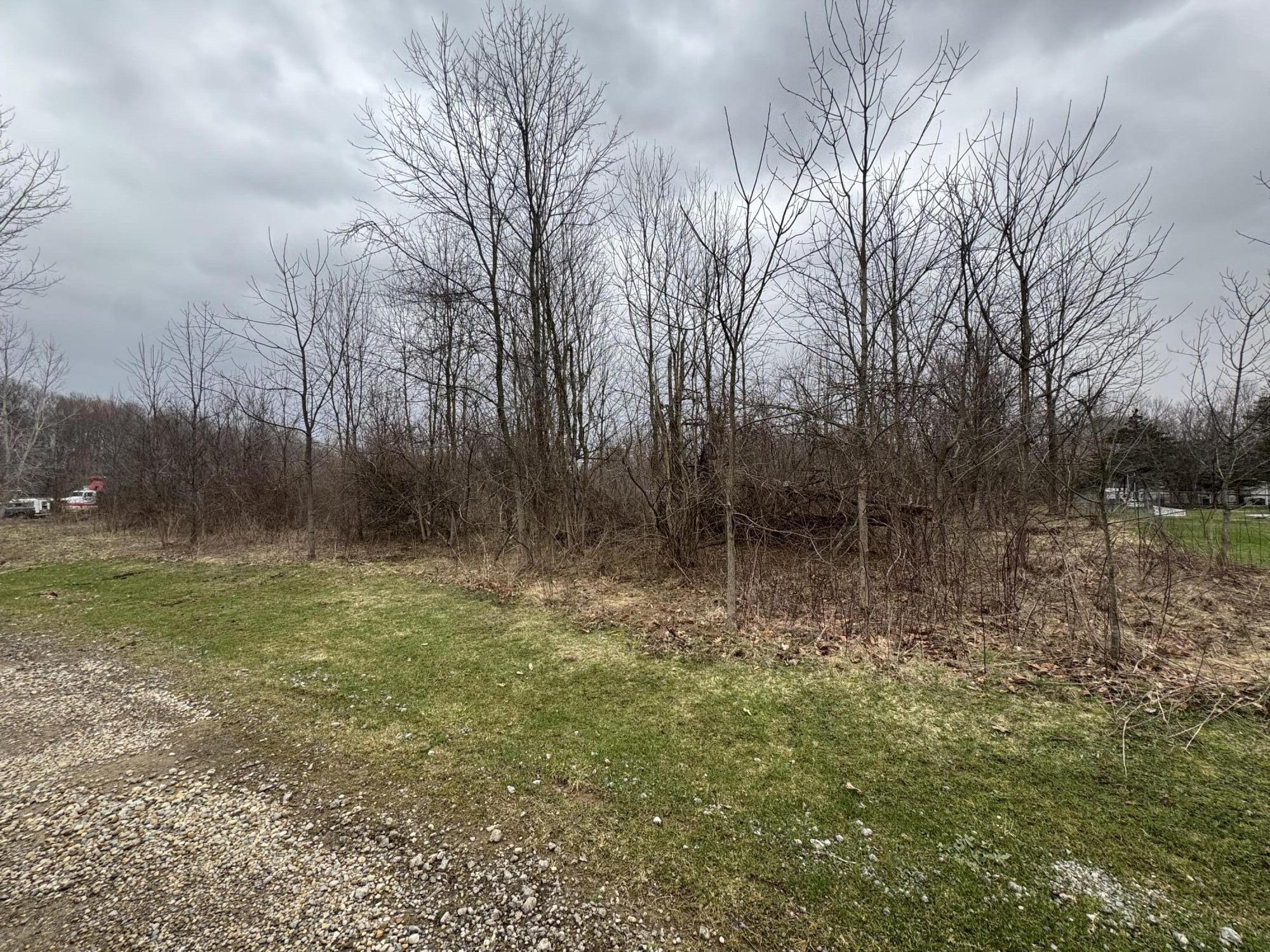 V/l Bangor Road Lawrence, MI 49064 - Photo 3 of 5 V/L Bangor Road