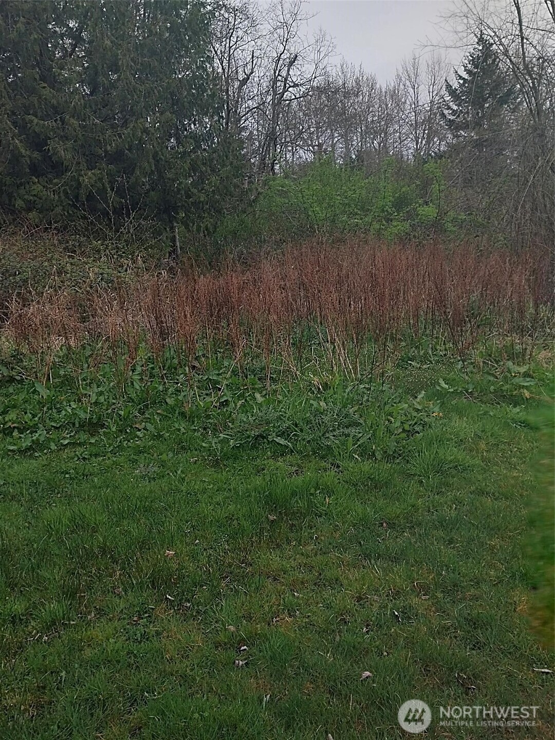 7 Weasel Run Point Point Roberts, WA 98281 - Photo 3 of 3 a view of a lush green forest with a lake