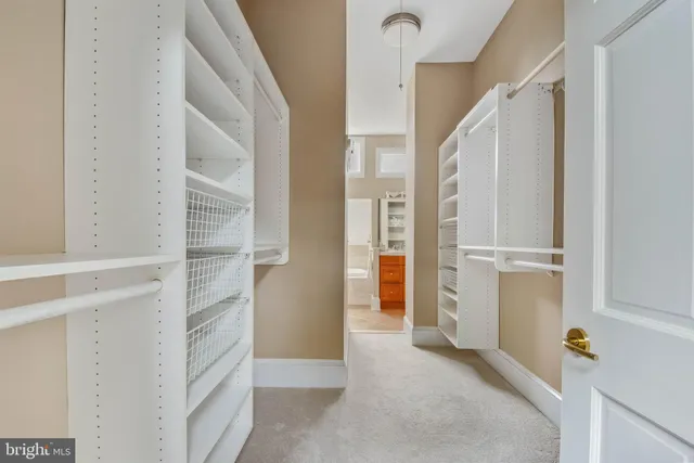 a view of a lush green space