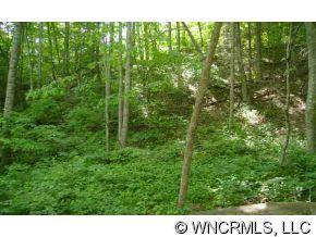 1244 Bee Tree Road Swannanoa, NC 28778 - Photo 11 of 11 Gallery Image 11