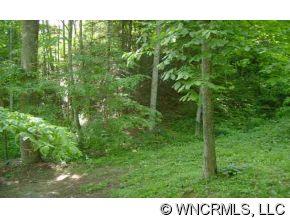 1244 Bee Tree Road Swannanoa, NC 28778 - Photo 10 of 11 Gallery Image 10
