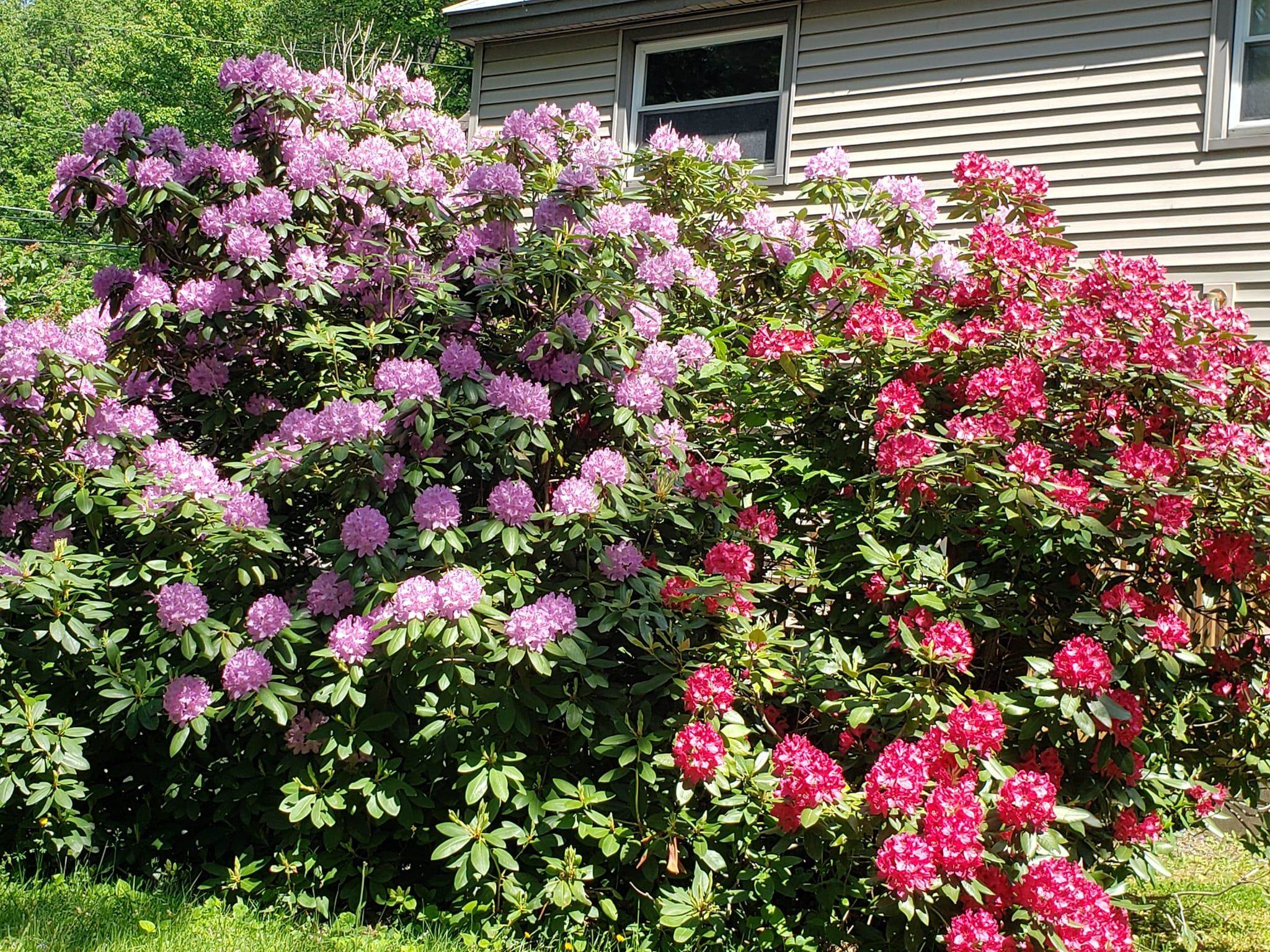 414 Old Guilford Road Brattleboro, VT 05301 - Photo 17 of 24 Gallery Image 17