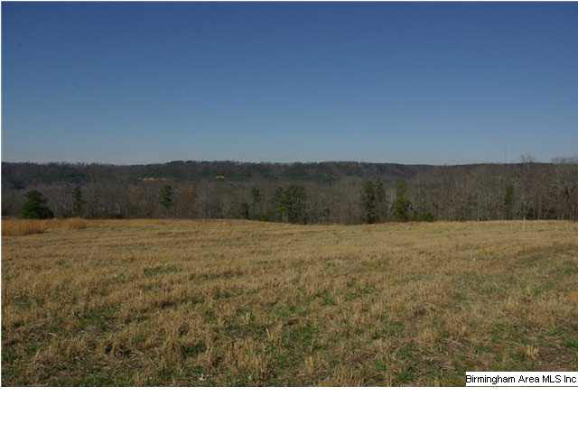 2 Horton Mill Road, Unit 2 Cleveland, AL 35049 - Photo 25 of 28