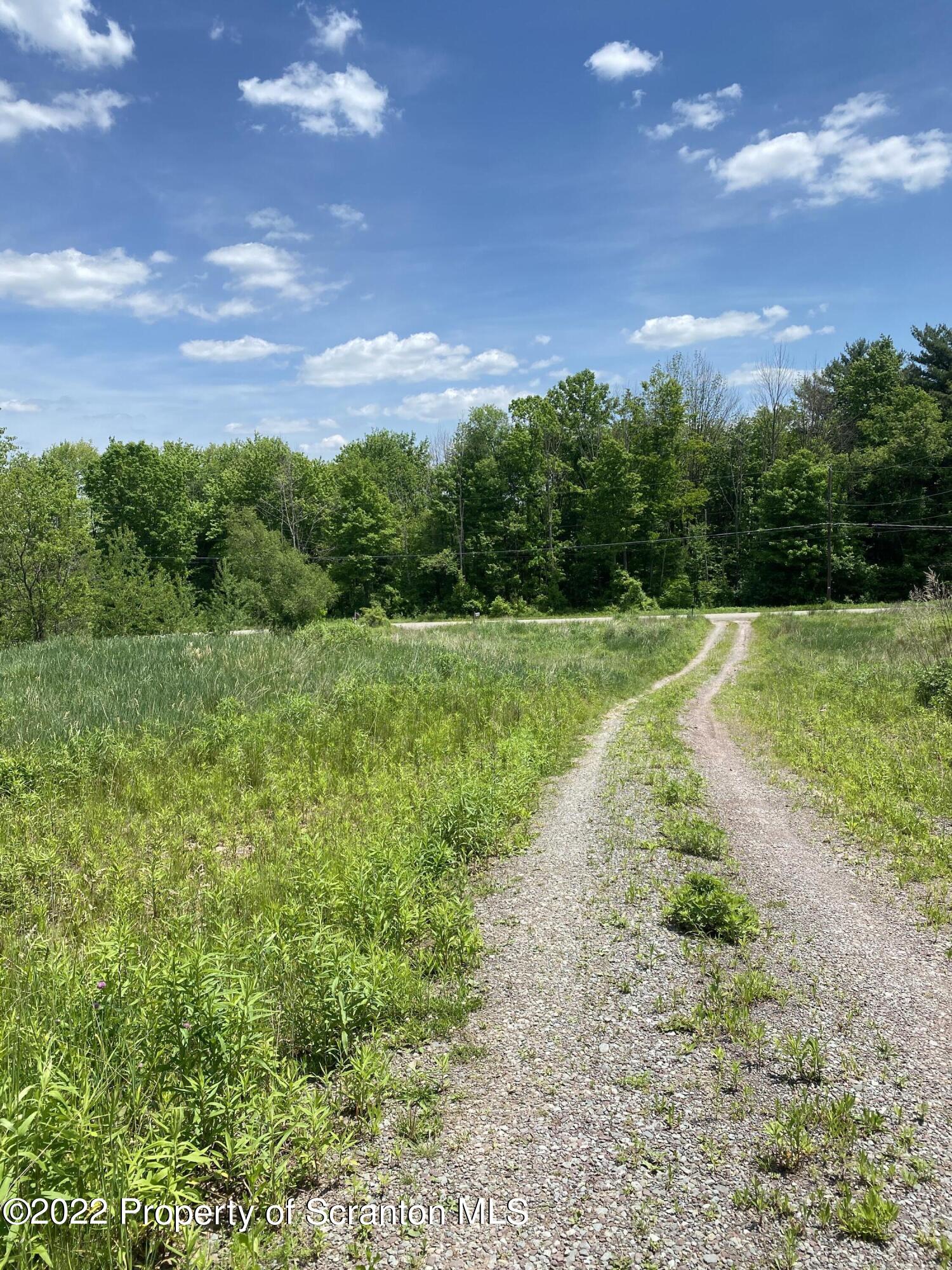 295 McKinney Road Waymart, PA 18472 - Photo 4 of 10 CD4C2089-7470-4FF8-9D6C-DC843DB8744E