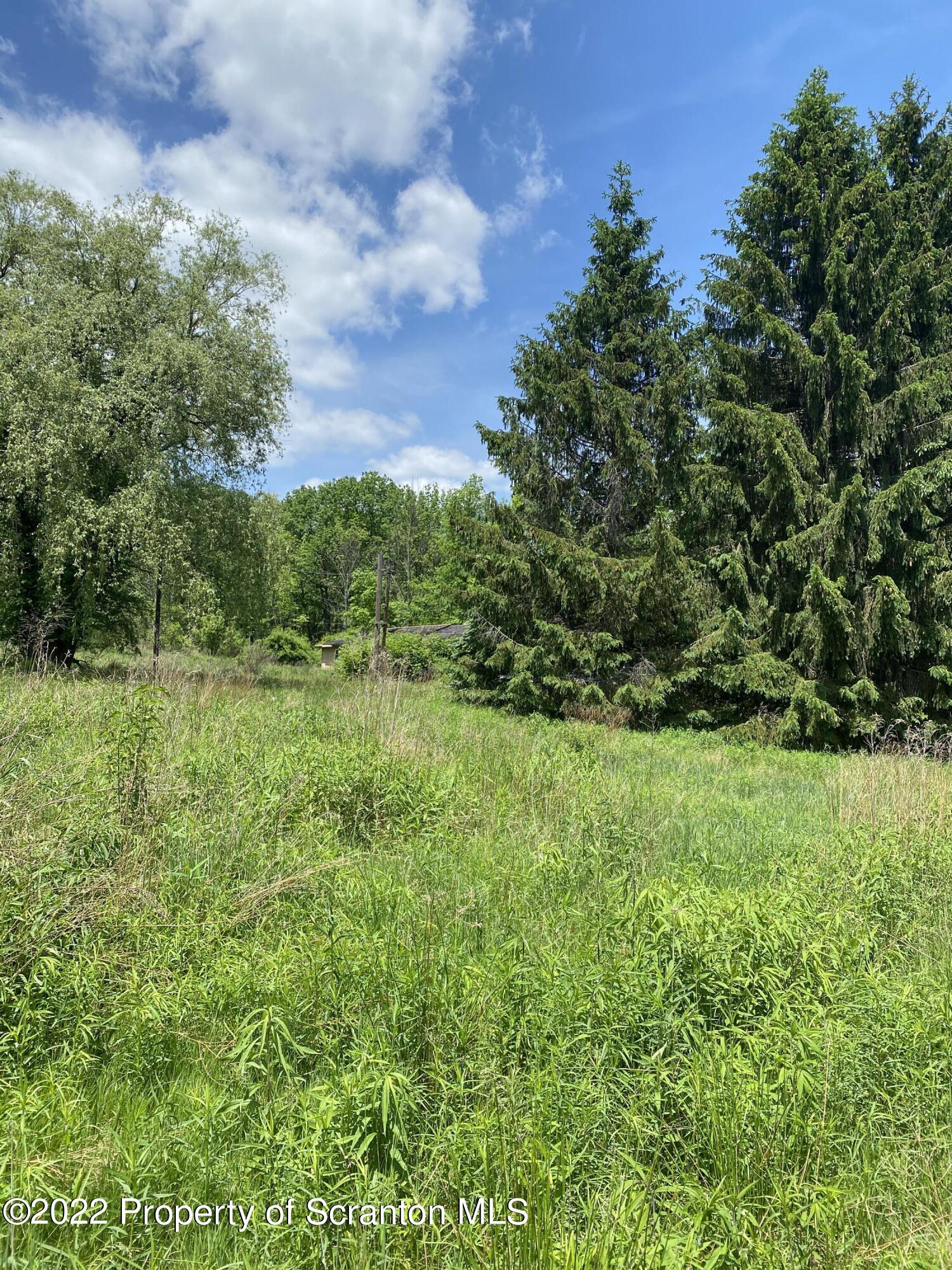 295 McKinney Road Waymart, PA 18472 - Photo 8 of 10 7B1ADBF6-EEBE-4B27-BAC4-761E49253C7A