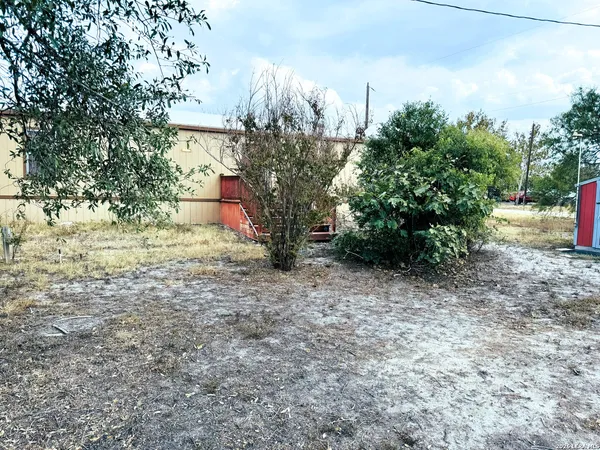 a view of a yard with plants and trees