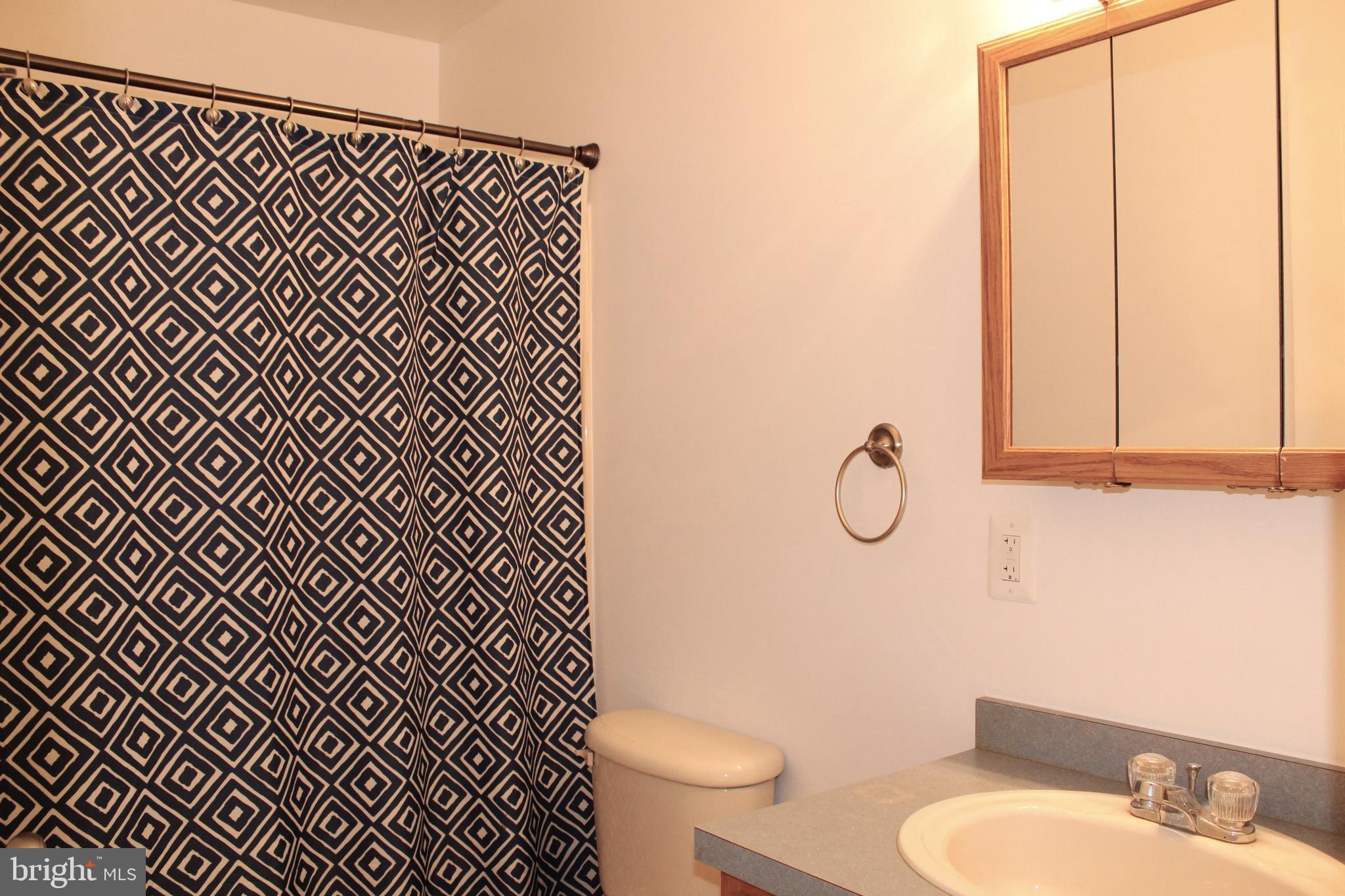31912 Melson Road Delmar, MD 21875 - Photo 12 of 23