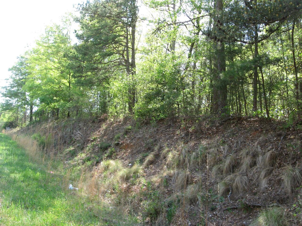 0 Mt View Road Carnesville, GA 30521 - Photo 1 of 1 a view of a forest with trees in the background