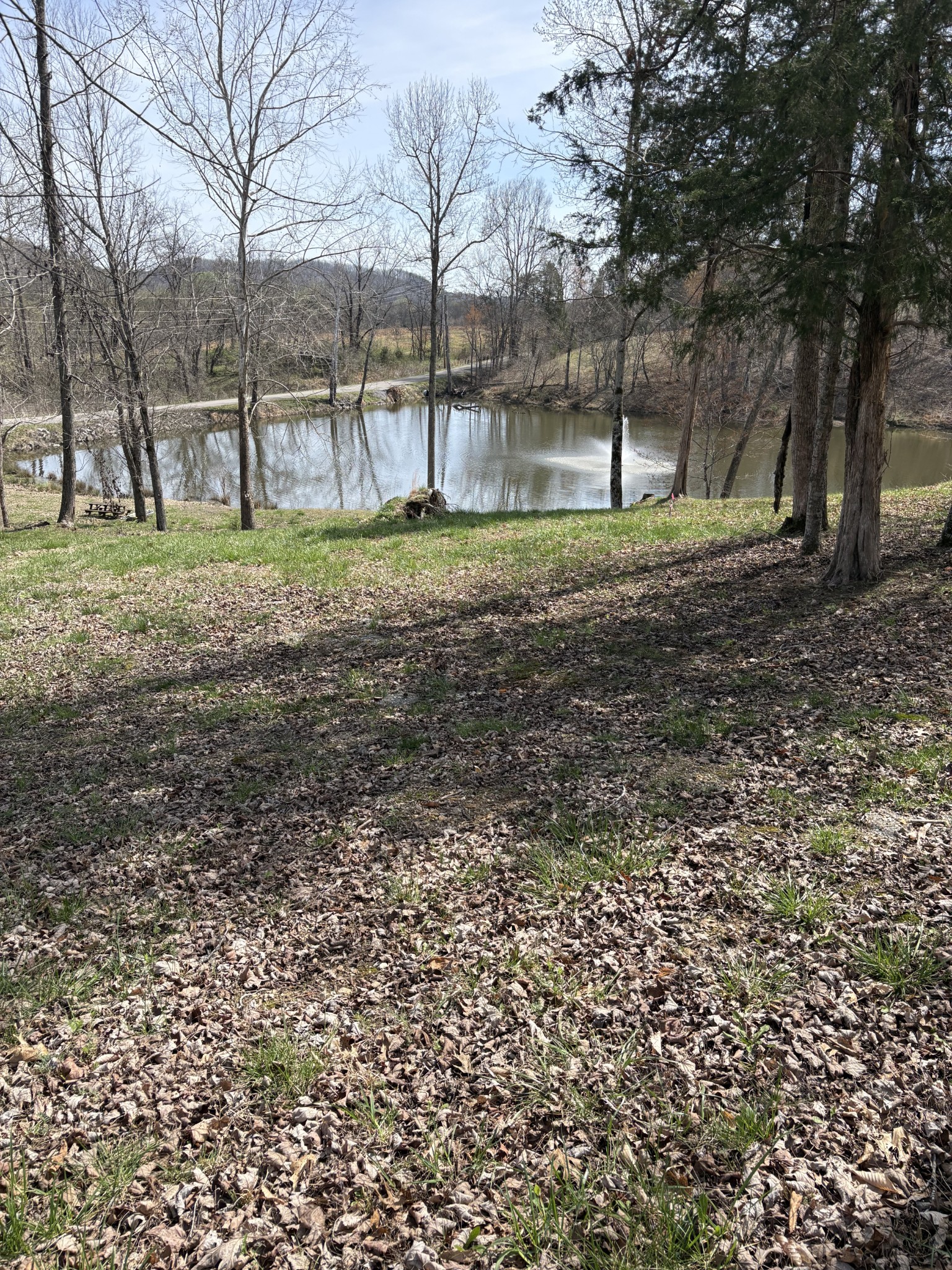 0 Three Rivers Drive Hurricane Mills, TN 37078 - Photo 4 of 13 a backyard of a house with lots of green space