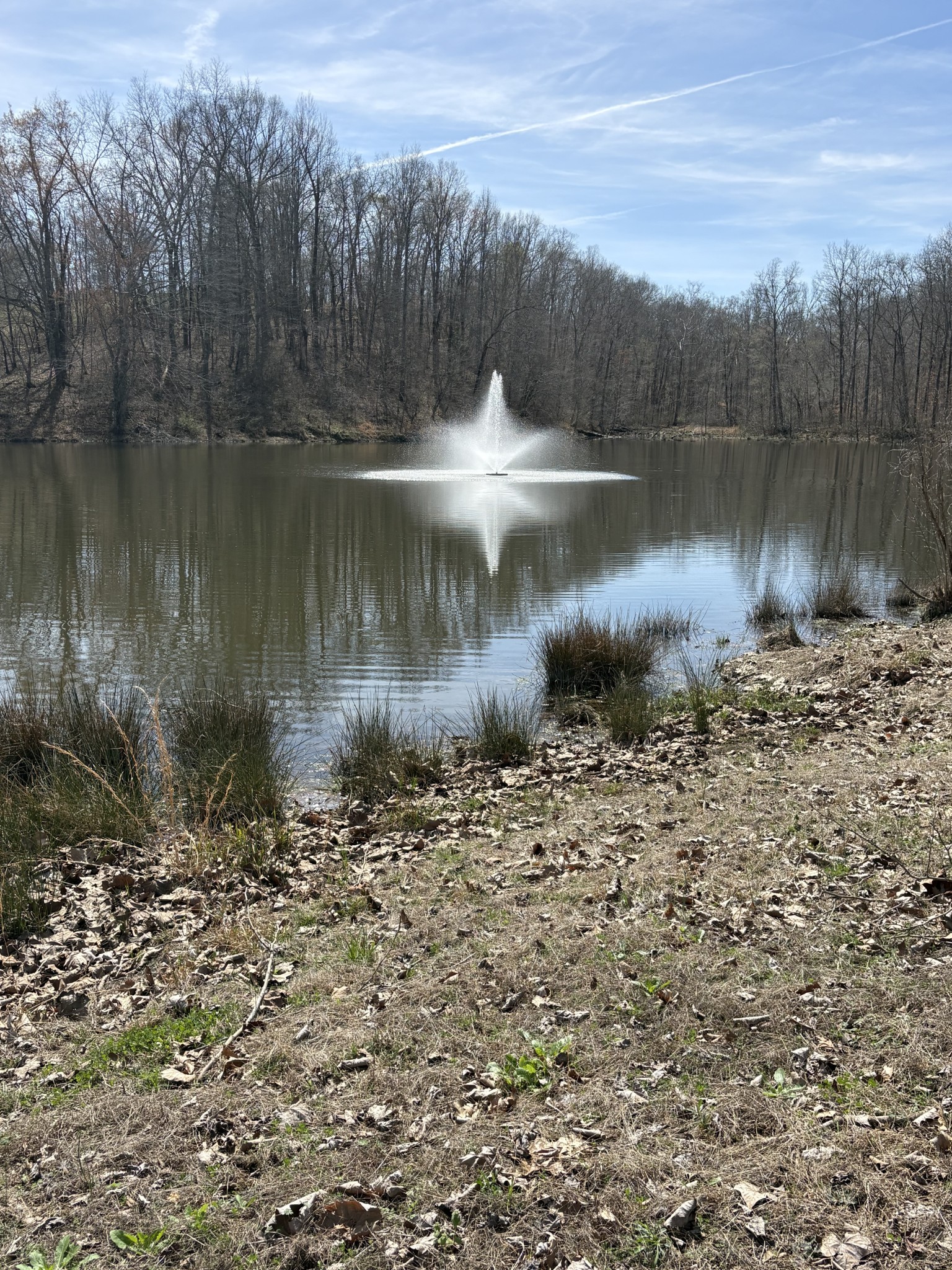 0 Three Rivers Drive Hurricane Mills, TN 37078 - Photo 6 of 13 a view of a lake view
