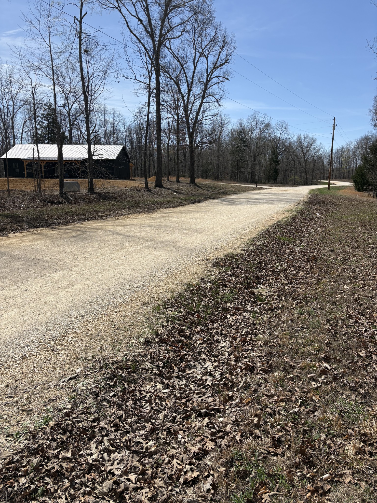 0 Three Rivers Drive Hurricane Mills, TN 37078 - Photo 8 of 13 a view of dirt yard