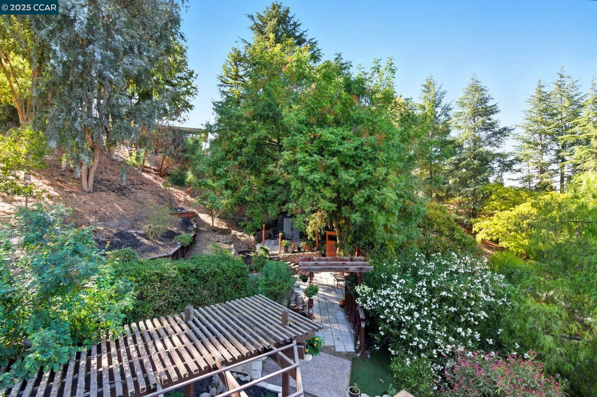 189 Rudgear Drive Walnut Creek, CA 94596 - Photo 19 of 59 a view of deck with patio