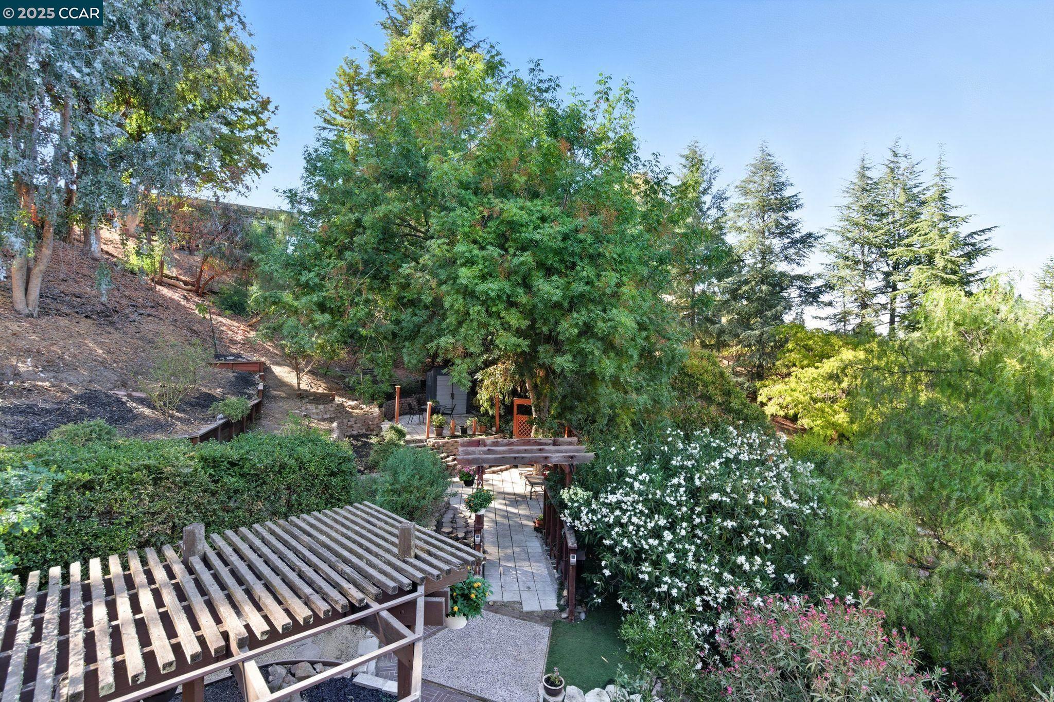 189 Rudgear Drive Walnut Creek, CA 94596 - Photo 23 of 59 a view of deck with patio