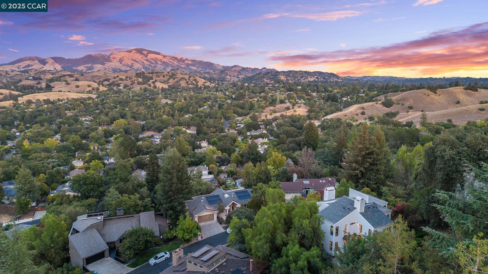 189 Rudgear Drive Walnut Creek, CA 94596 - Photo 36 of 59 an aerial view of residential houses with outdoor space
