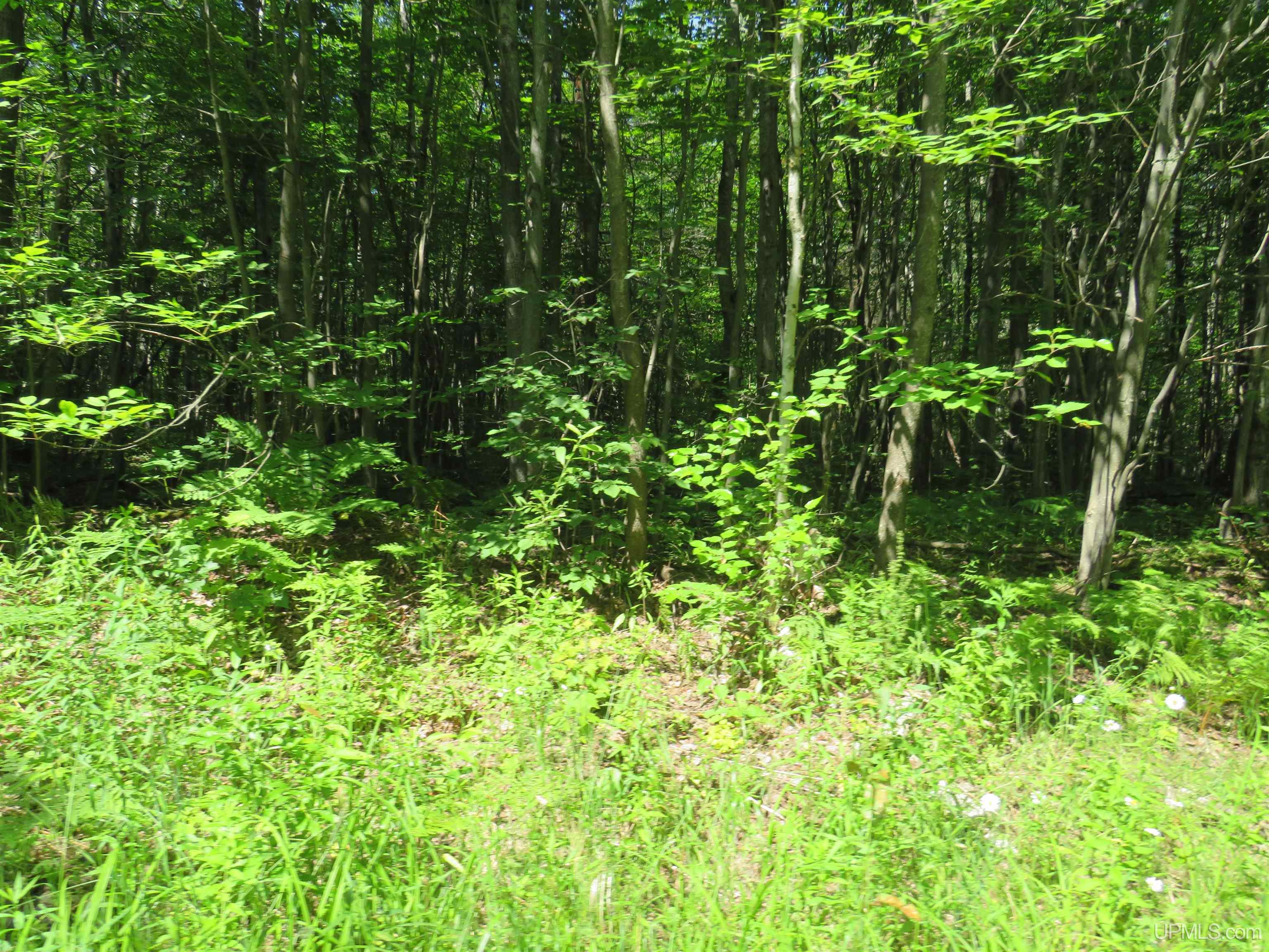 Tbd Curlew Road Ontonagon, MI 49953 - Photo 25 of 36