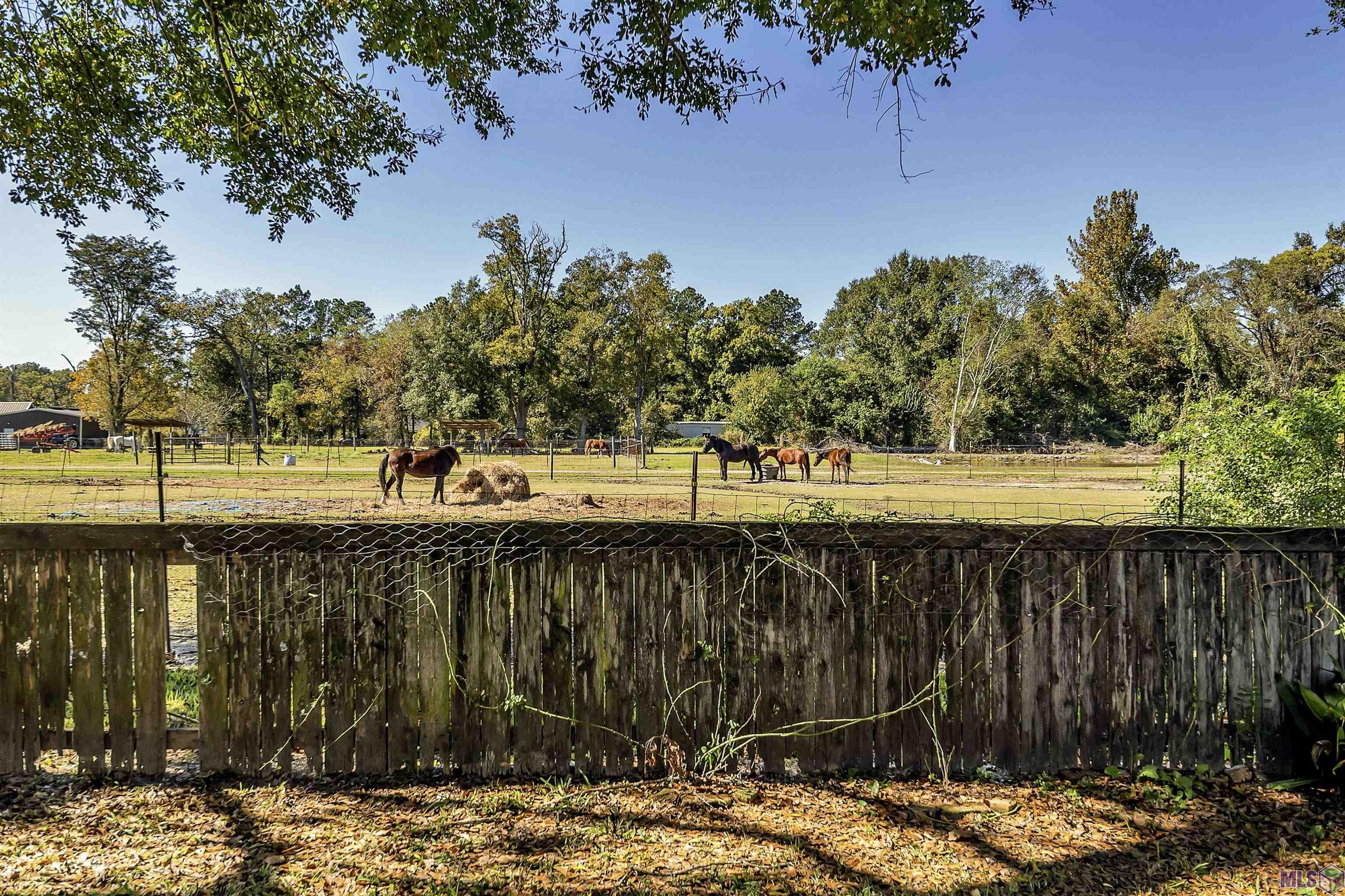 956 Bohne Road Port Allen, LA 70767 - Photo 23 of 26