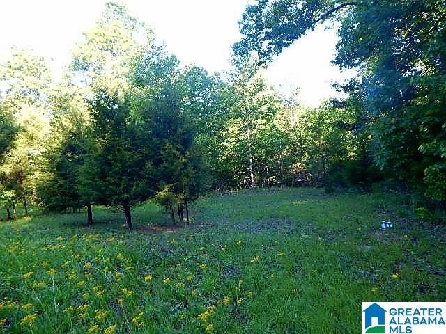 Sunhill Lane, Unit 14 Oneonta, AL 35121 - Photo 12 of 27