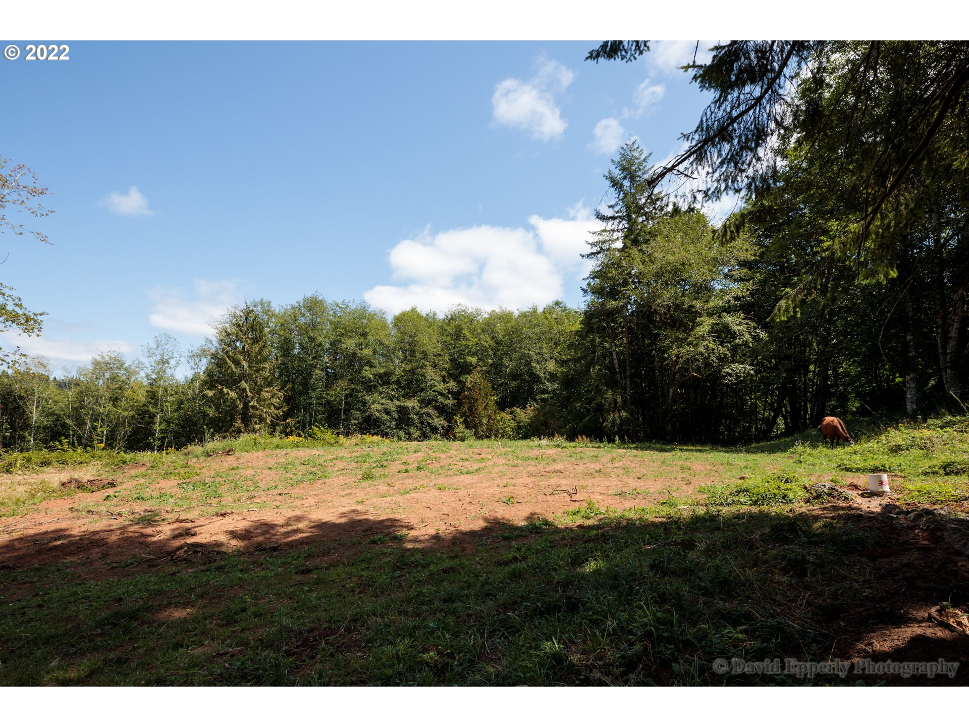 Hazel Grove Road Clatskanie, OR 97016 - Photo 3 of 3 Gallery Image 3