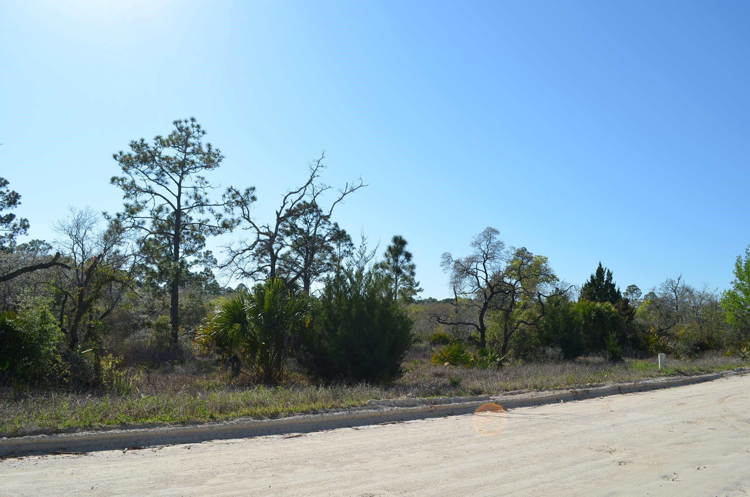 0 Yates Creek Road, Unit 2 Perry, FL 32348 - Photo 2 of 7 Gallery Image 2