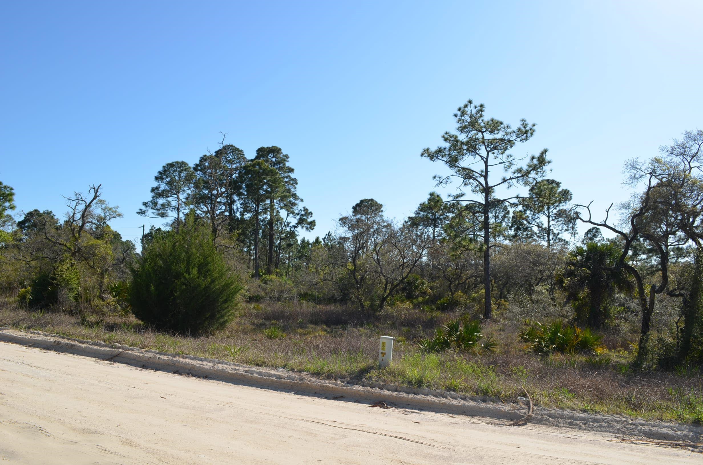 0 Yates Creek Road, Unit 2 Perry, FL 32348 - Photo 3 of 7 Gallery Image 3