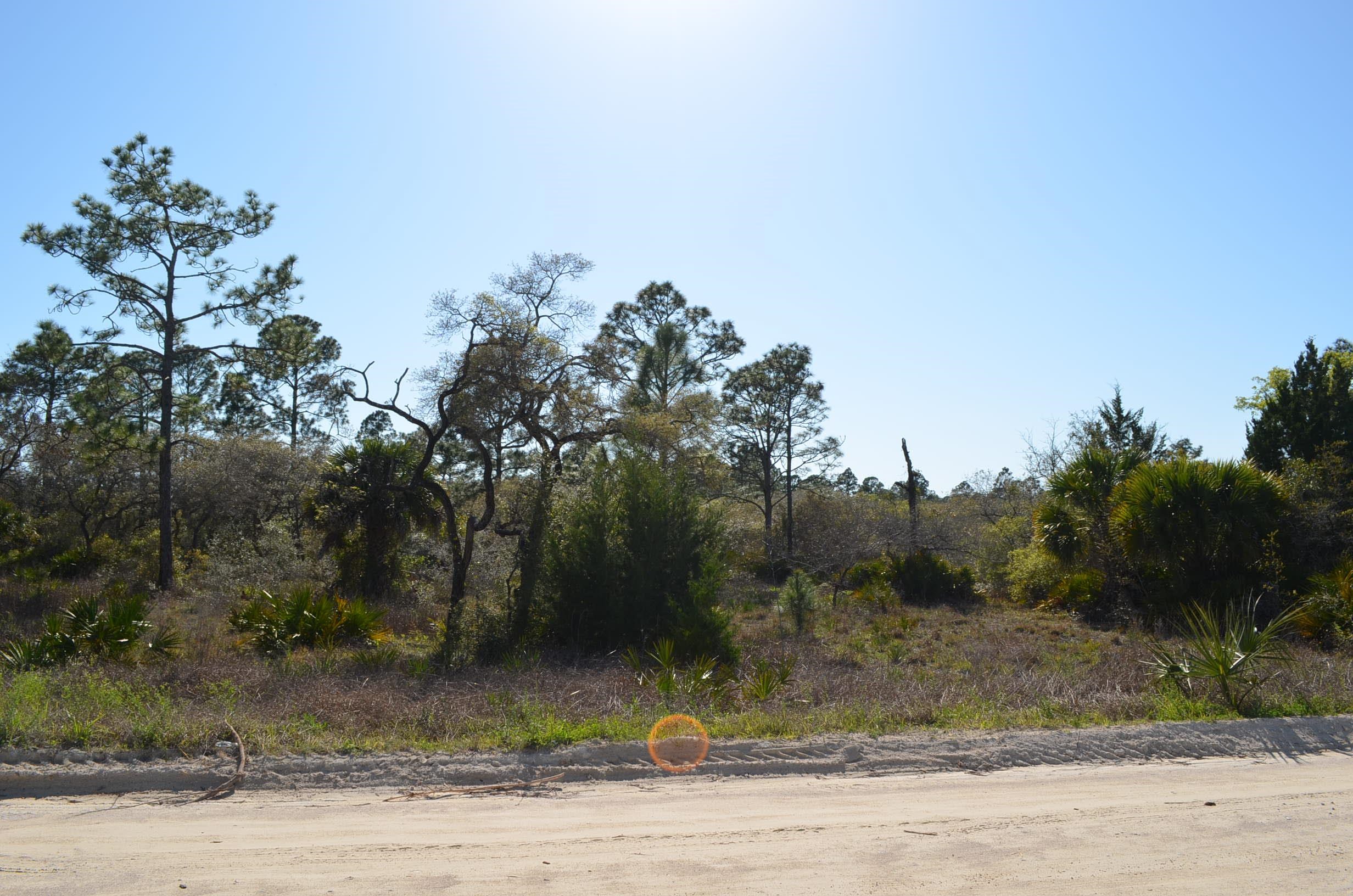 0 Yates Creek Road, Unit 2 Perry, FL 32348 - Photo 4 of 7 Gallery Image 4