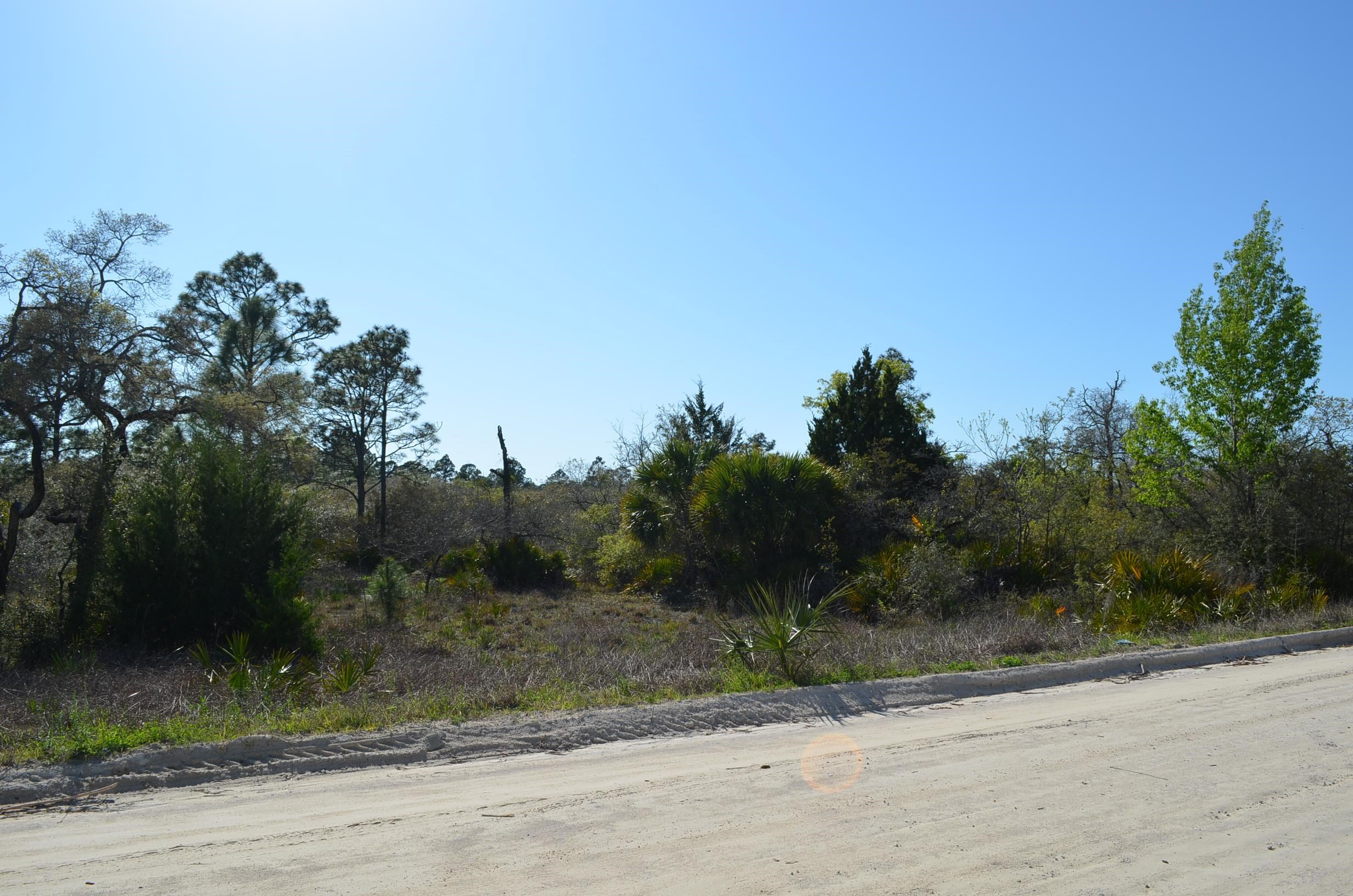 0 Yates Creek Road, Unit 2 Perry, FL 32348 - Photo 5 of 7 Gallery Image 5