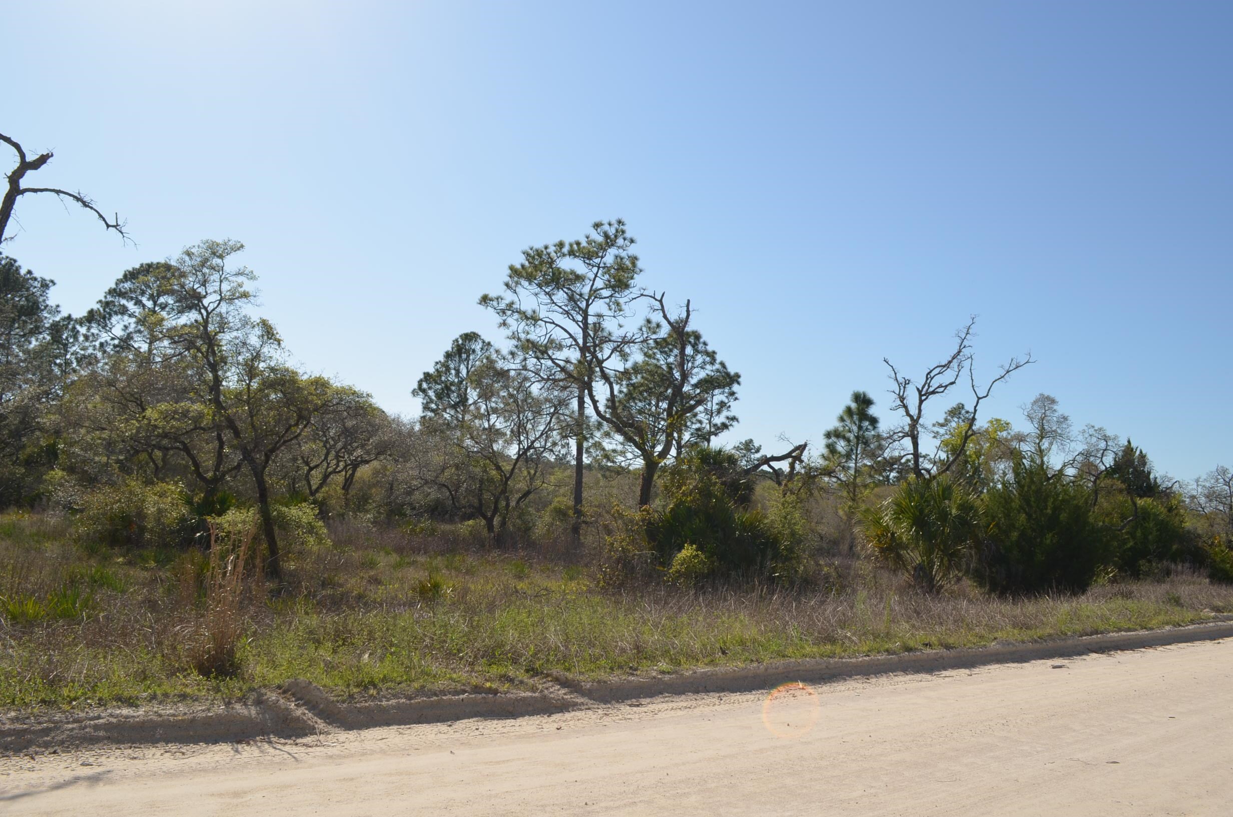 0 Yates Creek Road, Unit 2 Perry, FL 32348 - Photo 7 of 7 Gallery Image 7