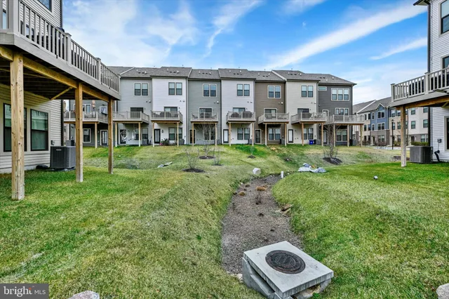 a view of a big yard with plants and large trees