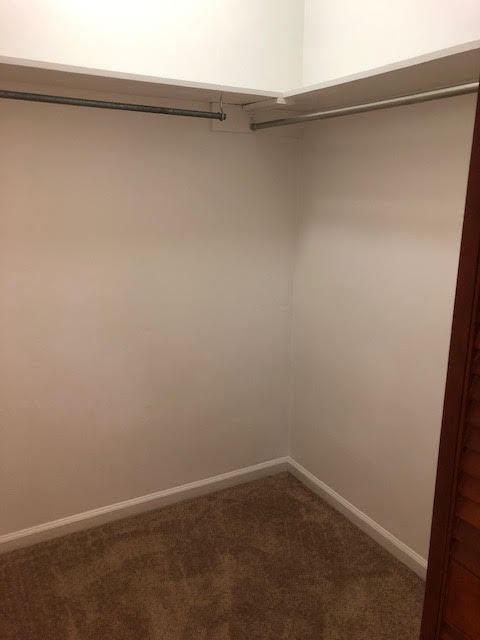 214 Lodgepole Road Ladson, SC 29456 - Photo 15 of 44 Master Walk-in Closet