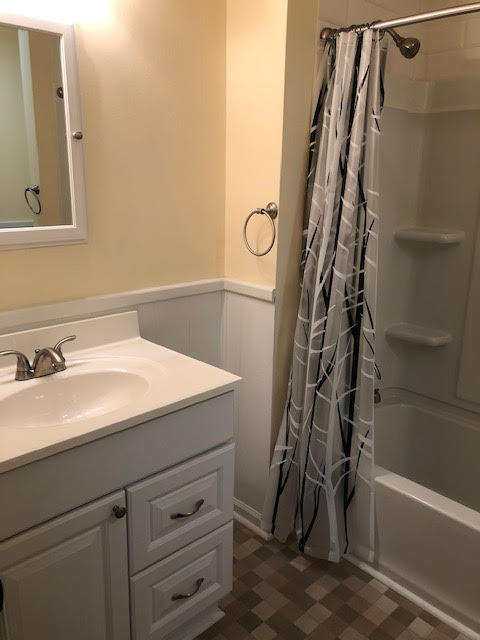 214 Lodgepole Road Ladson, SC 29456 - Photo 18 of 44 Hall Bath