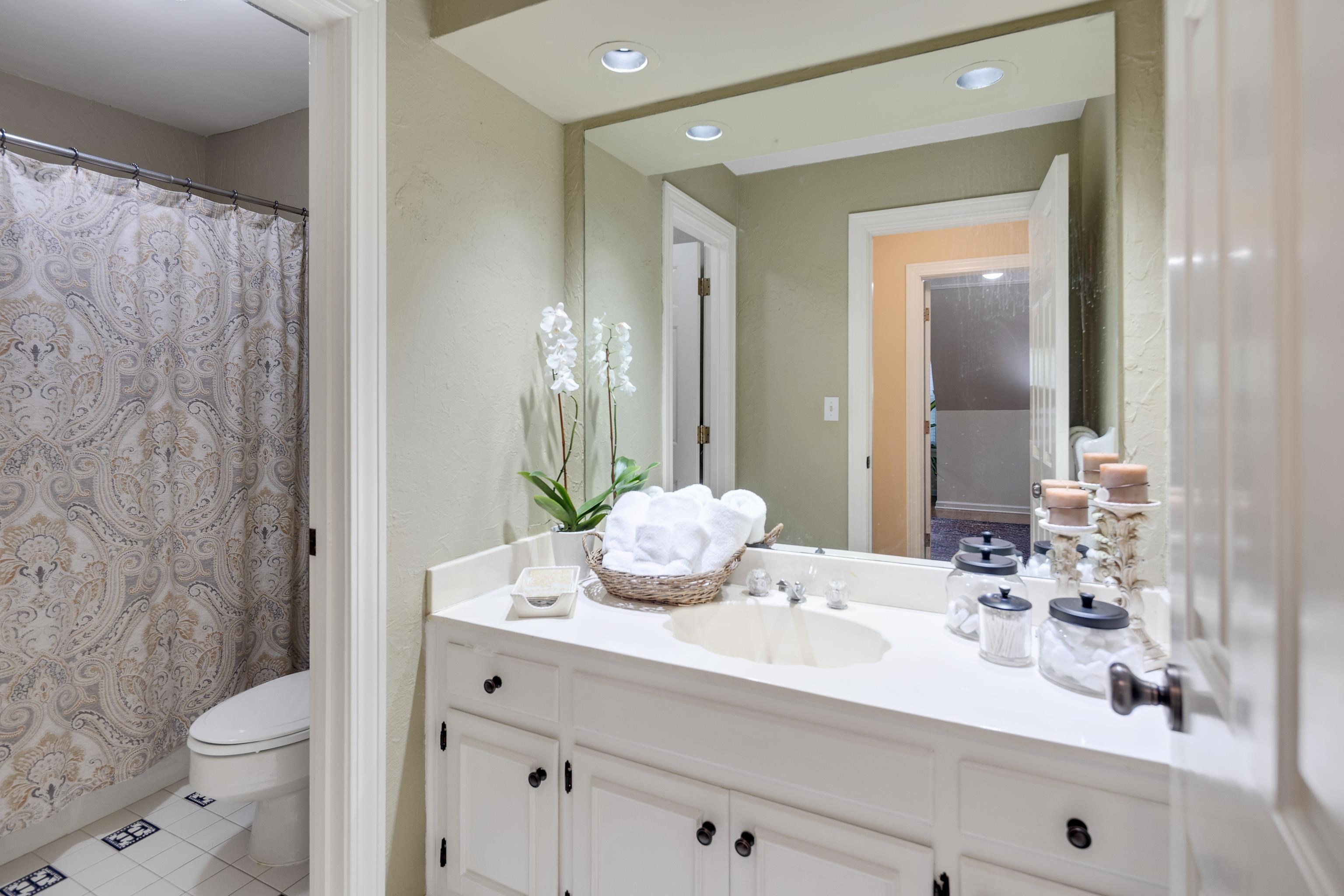 6326 East Shady Grove Road Memphis, TN 38120 - Photo 26 of 40 a bathroom with a sink a toilet and shower curtain