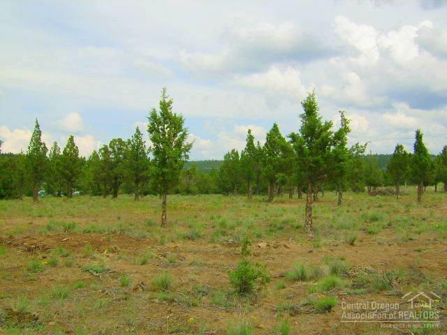 13051 Southeast Falcon Ridge Road Prineville, OR 97754 - Photo 2 of 7 Additional Photo