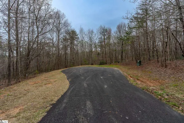 $9,250 | 56 Angleblade Road, Landrum, SC 29356