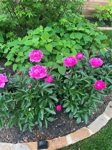 $1,375,000 | 94 Howell Street Northeast, Atlanta, GA 30312