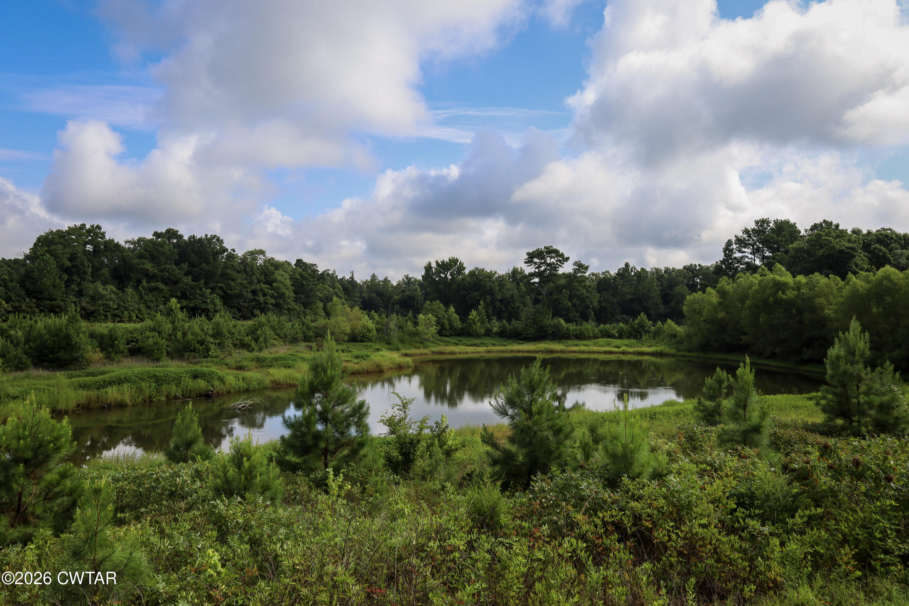 0 Mount Carmel Road Whiteville, TN 38075 - Photo 11 of 41 11-IMG_4759