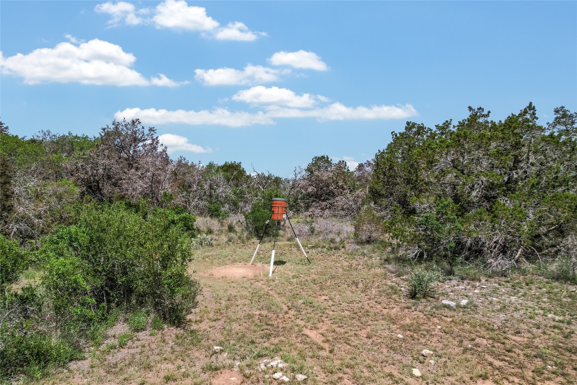 199 Middleton Road Spicewood, TX 78669 - Photo 31 of 39 a view of a yard with a tree