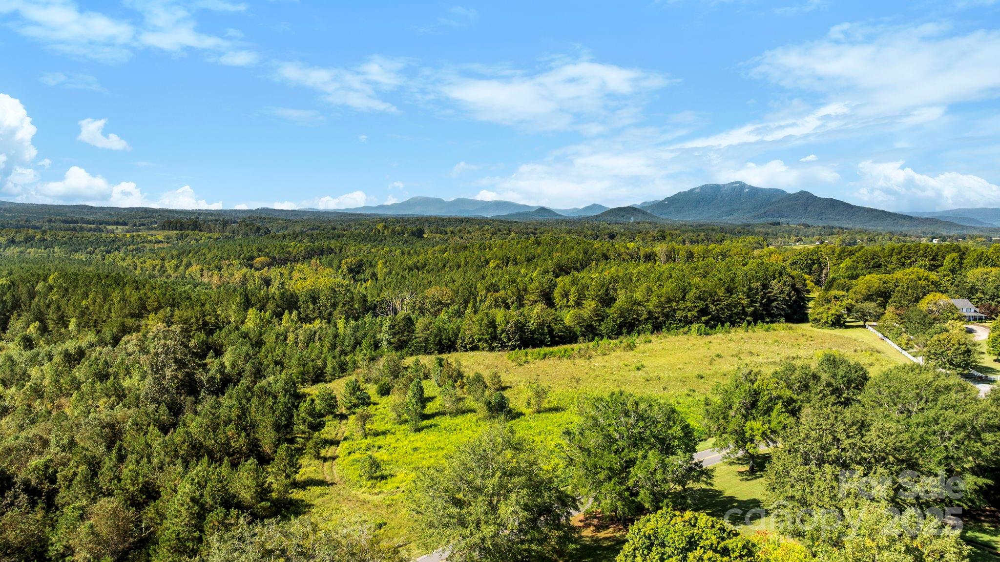 1178 Pea Ridge Road Mill Spring, NC 28756 - Photo 6 of 6 a view of mountain view with an ocean