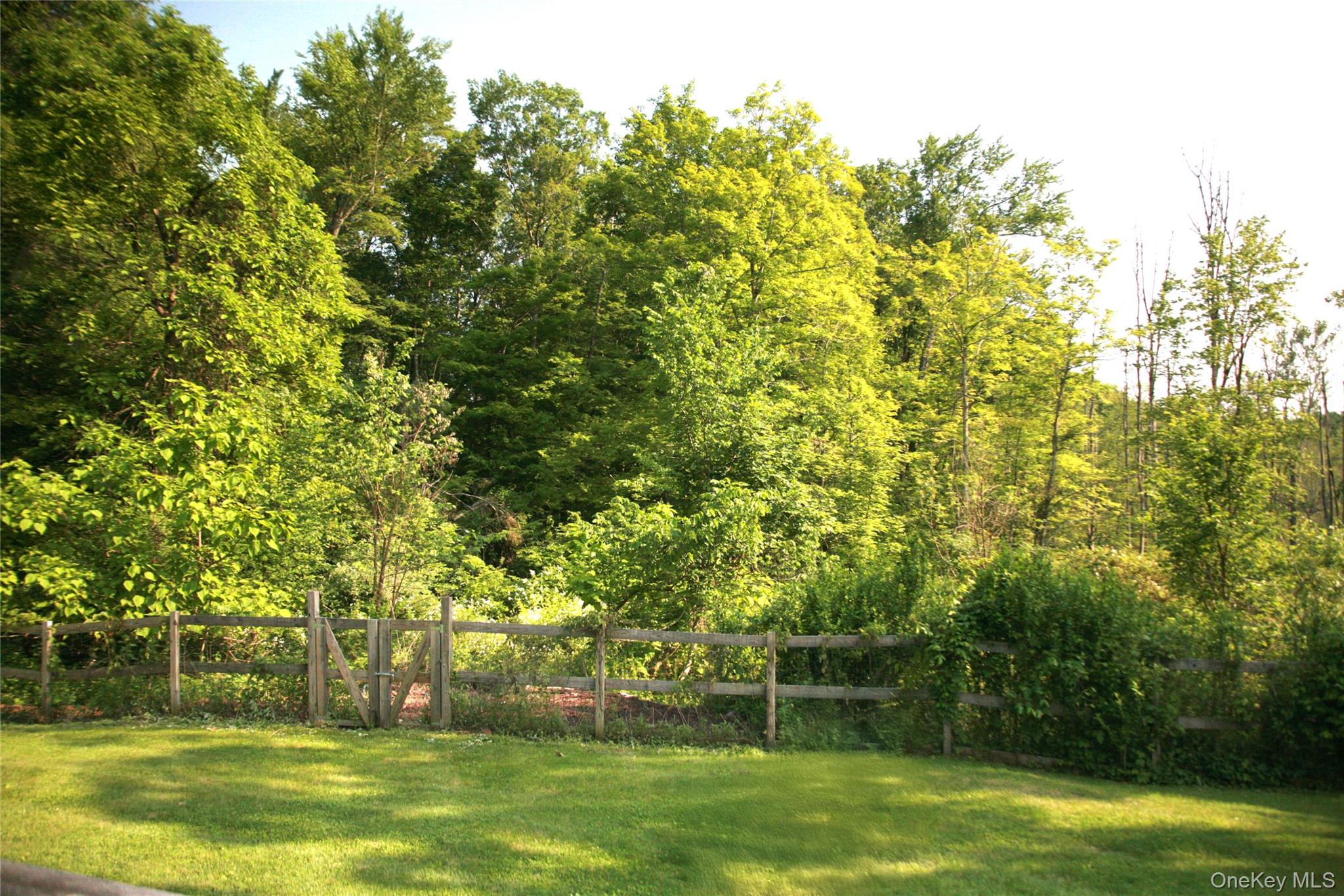 197 Hardenburgh Road Ulster Park, NY 12487 - Photo 18 of 35 a view of a yard with a tree