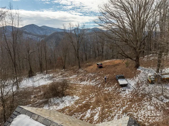 a front view of a house with yard garage and trees