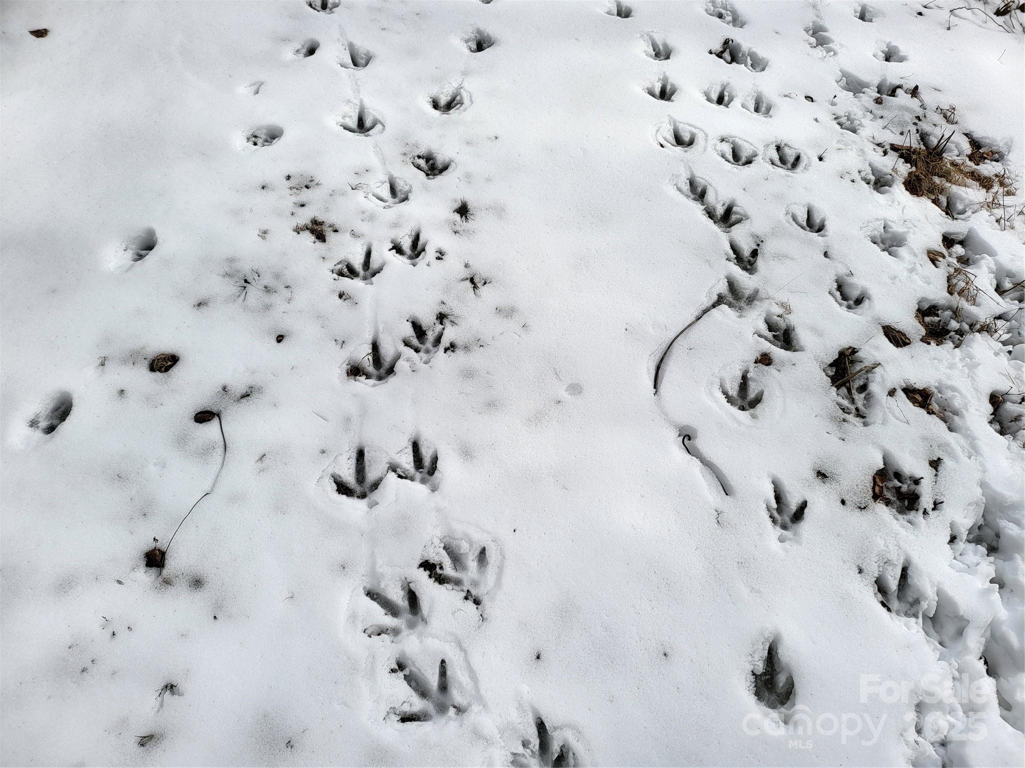 Off Alarka Road Bryson City, NC 28713 - Photo 15 of 43 a bathroom with a bathtub and shower