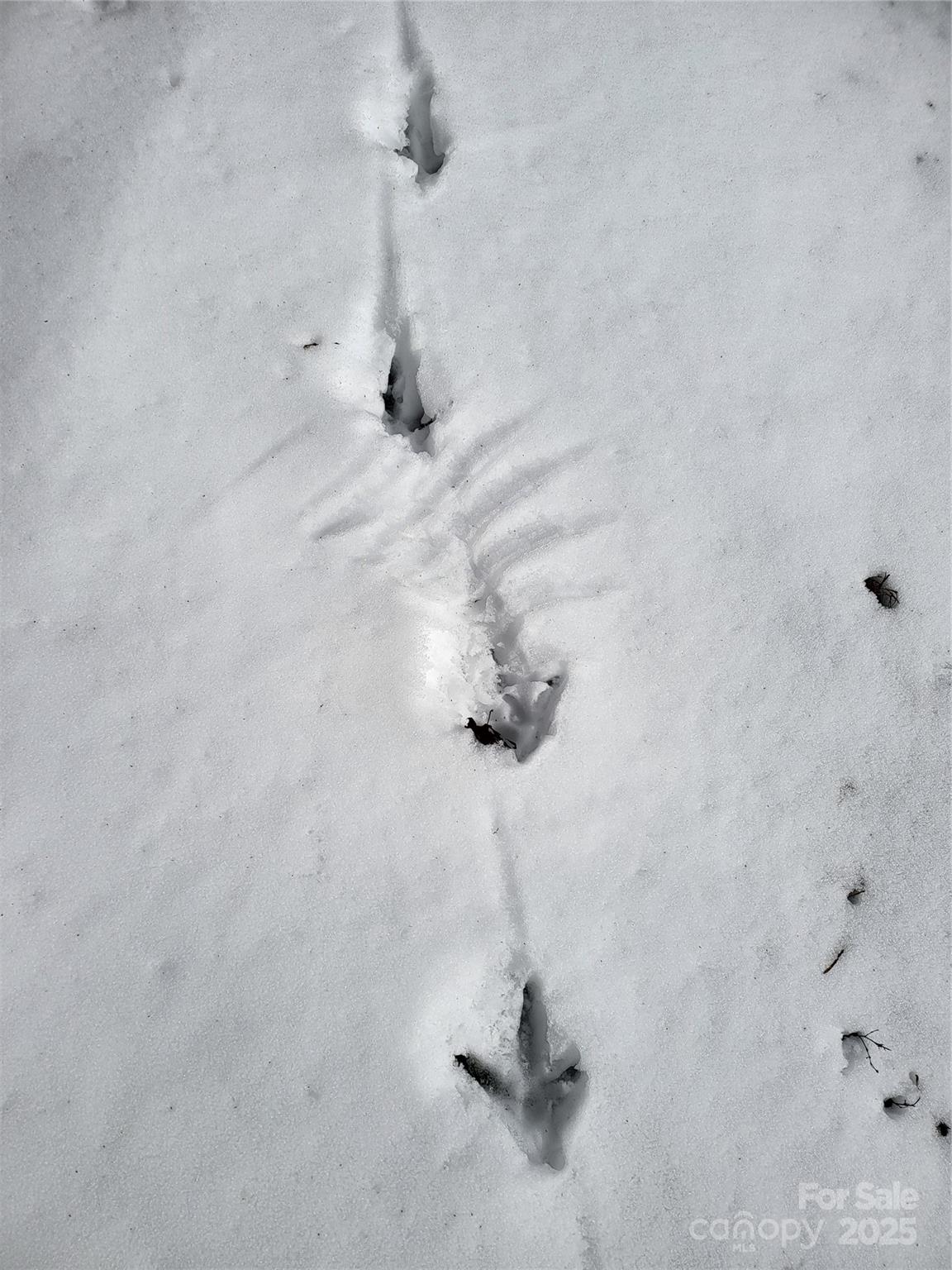 Off Alarka Road Bryson City, NC 28713 - Photo 16 of 43 a bathroom with a shower